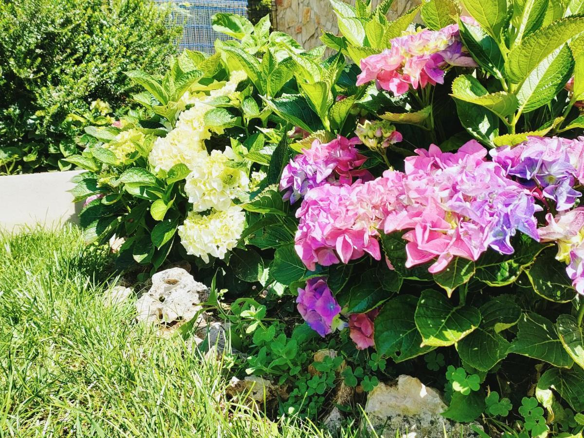 レイリア Quinta Do Bambyヴィラ エクステリア 写真