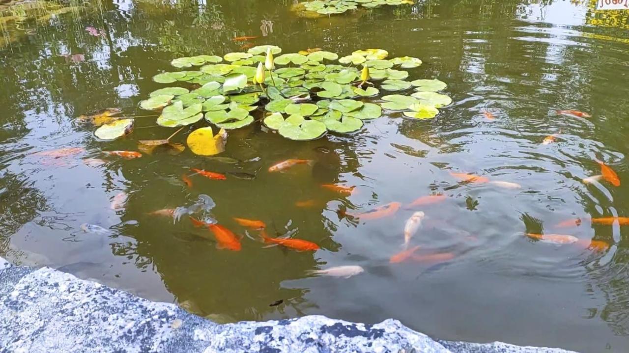 レイリア Quinta Do Bambyヴィラ エクステリア 写真